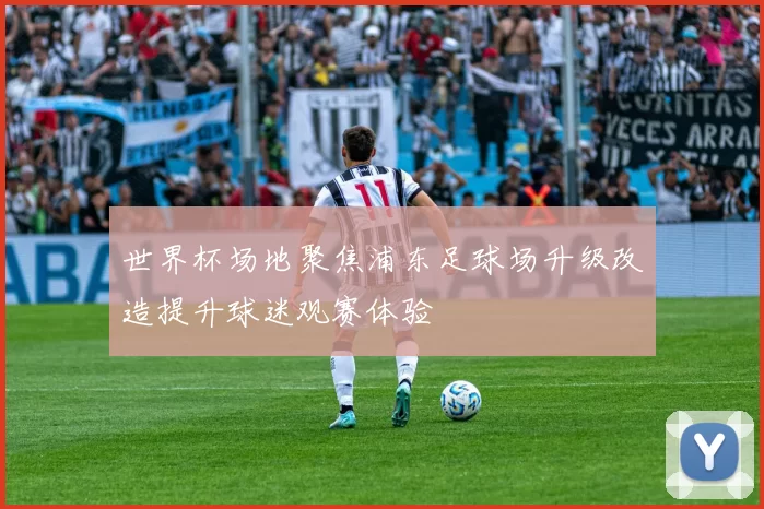 世界杯场地聚焦浦东足球场升级改造提升球迷观赛体验