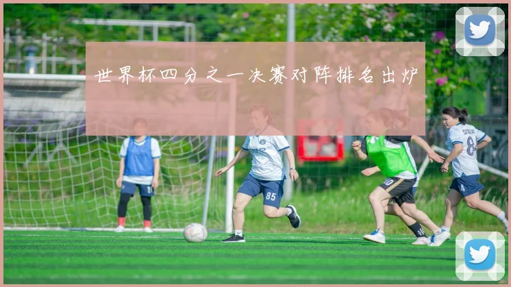 世界杯四分之一决赛对阵排名出炉