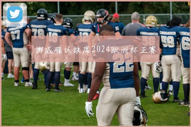 挪威确认缺席2024欧洲杯正赛