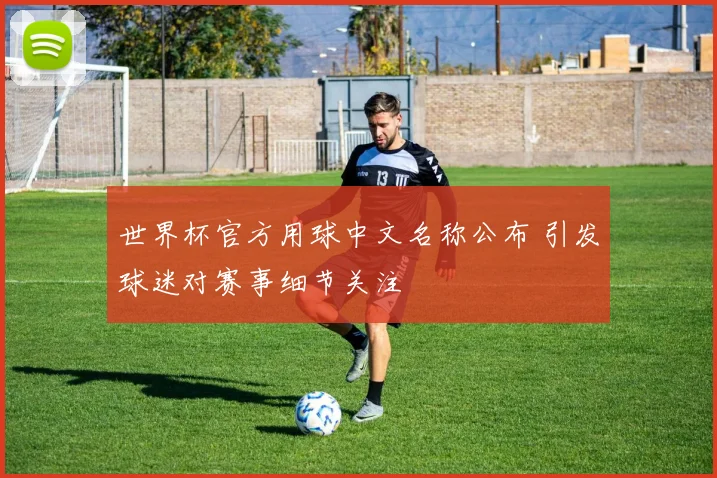 世界杯官方用球中文名称公布 引发球迷对赛事细节关注